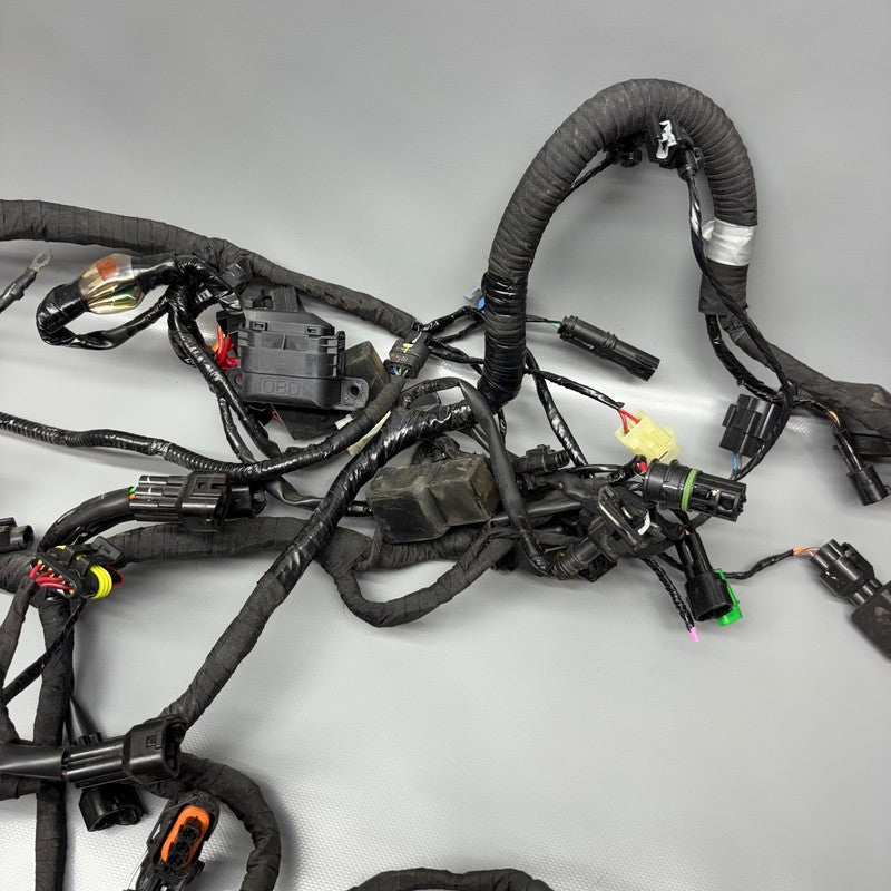 BMW G310R US MAIN ENGINE WIRE HARNESS 2016 2017 2018 2019 2020 OEM 835