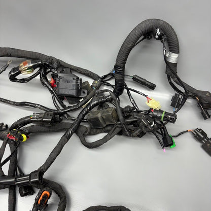 BMW G310R US MAIN ENGINE WIRE HARNESS 2016 2017 2018 2019 2020 OEM 835