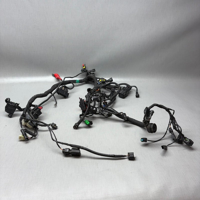 BMW G310R MAIN ENGINE WIRE HARNESS 2017 2018 OEM 8357938