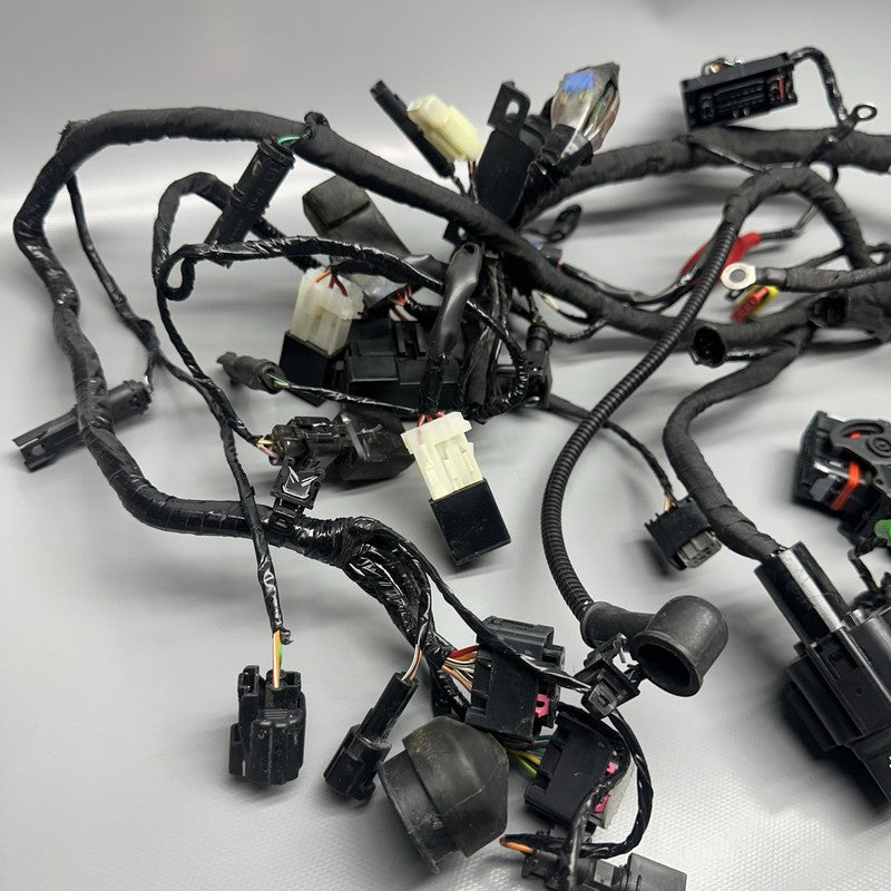 8394113 BMW G310GS MAIN ENGINE HARNESS 2018 2019 OEM 8394113