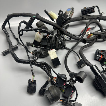 8394113 BMW G310GS MAIN ENGINE HARNESS 2018 2019 OEM 8394113