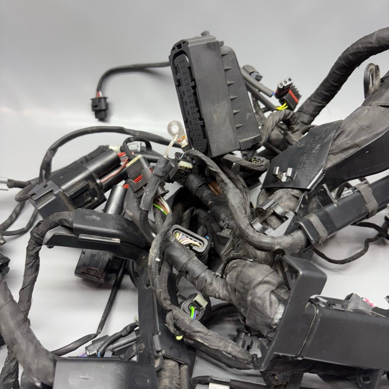 BMW S1000R MAIN ENGINE HARNESS 2020 2021 2022 2023 2024 2025 OEM