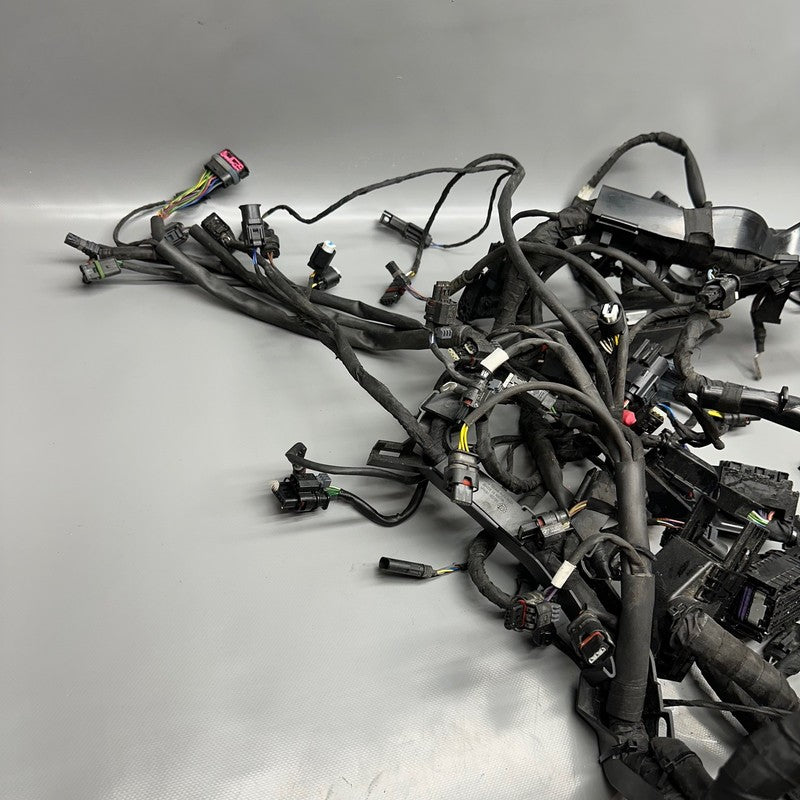 7105049 BMW S1000RR MAIN HARNESS WIRING LOOM 2018 2019 2020 2021 2022 OEM 7105049