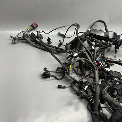 7105049 BMW S1000RR MAIN HARNESS WIRING LOOM 2018 2019 2020 2021 2022 OEM 7105049
