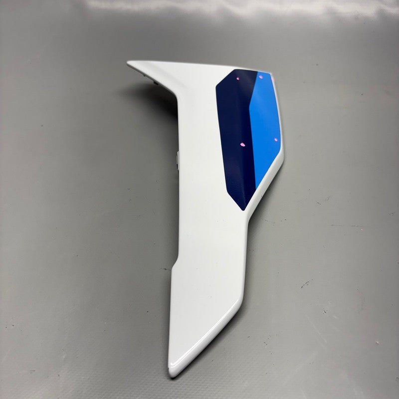 BMW S1000 R REAR SIDE PANEL RIGHT 2020 2021 2022 2023 2024 2025 OEM