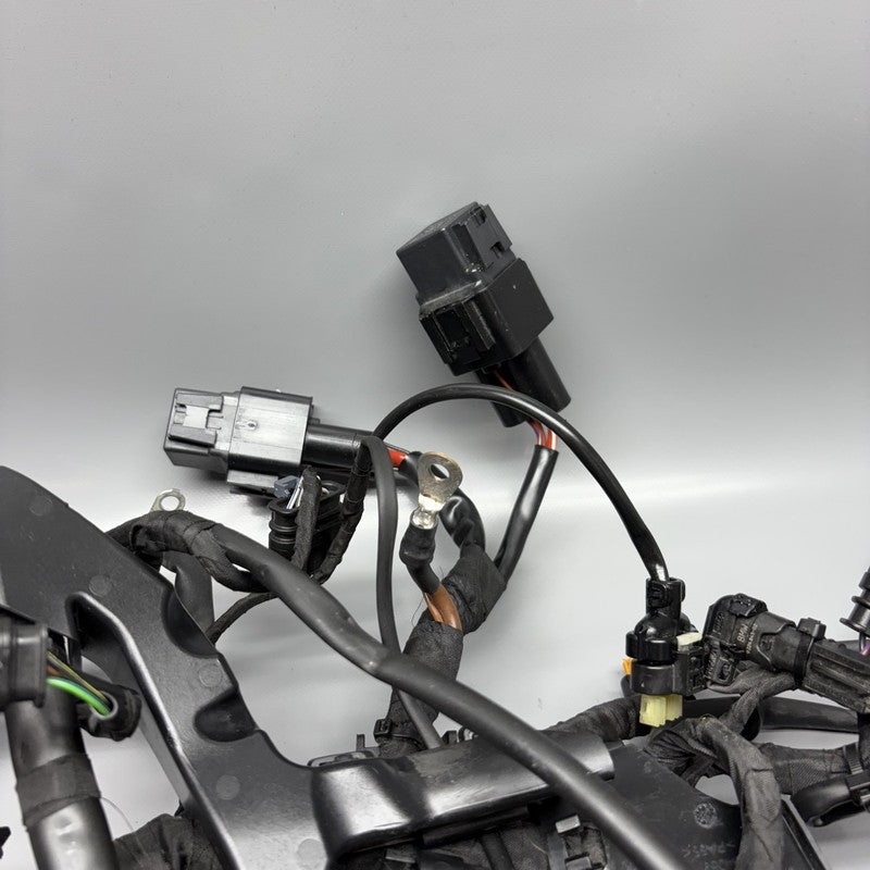 7108539 BMW S1000RR MAIN ENGINE WIRING 2019 2020 2021 2022 2023 2024 OEM 7108539 CUT