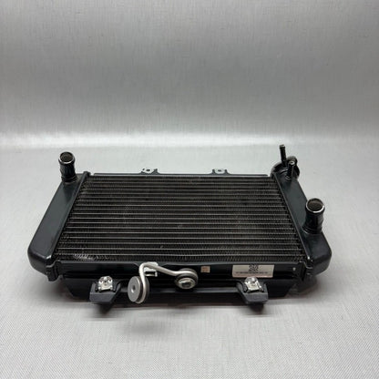 BMW G310R RADIATOR 2017 2018 OEM