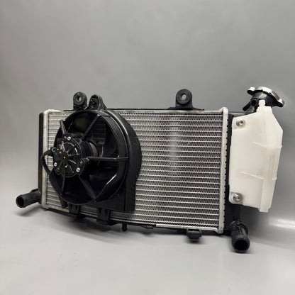 BMW F850GS RADIATOR 2016 2017 2018 2019 2020 2021 2022 2023 OEM 160019