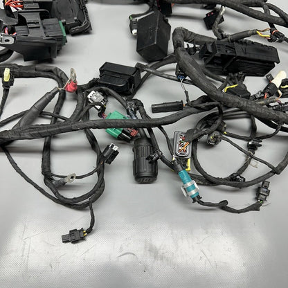 C 650 EVOLUTION BMW C 650 EVOLUTION MAIN WIRING HARNESS 2015 2016 2017 2018 OEM