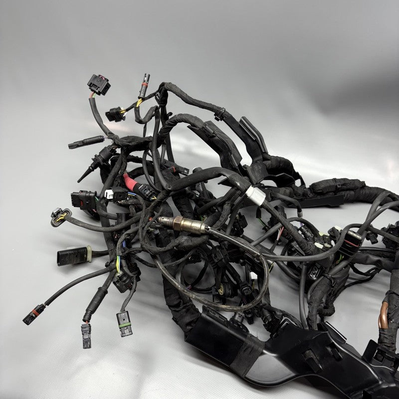 7105048 BMW M1000R MAIN WIRING HARNESS 2021 2022 2023 2024 OEM 7105048