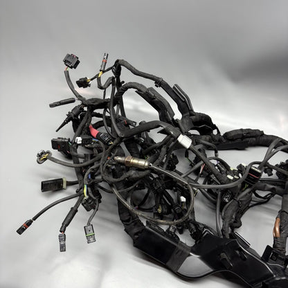 7105048 BMW M1000R MAIN WIRING HARNESS 2021 2022 2023 2024 OEM 7105048