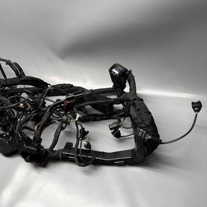 BMW M1000R MAIN WIRING HARNESS 2021 2022 2023 2024 OEM 7105048