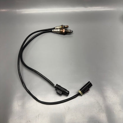 BMW F850GS OXYGEN SENSORS 2016 2017 2018 2019 2020 2021 2022 2023 OEM
