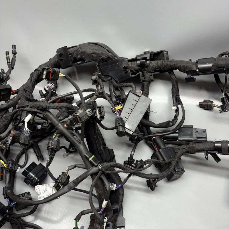 BMW M1000R MAIN WIRING HARNESS 2021 2022 2023 2024 OEM 7105048