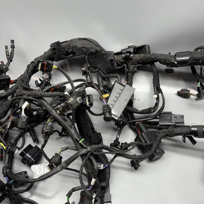 BMW M1000R MAIN WIRING HARNESS 2021 2022 2023 2024 OEM 7105048