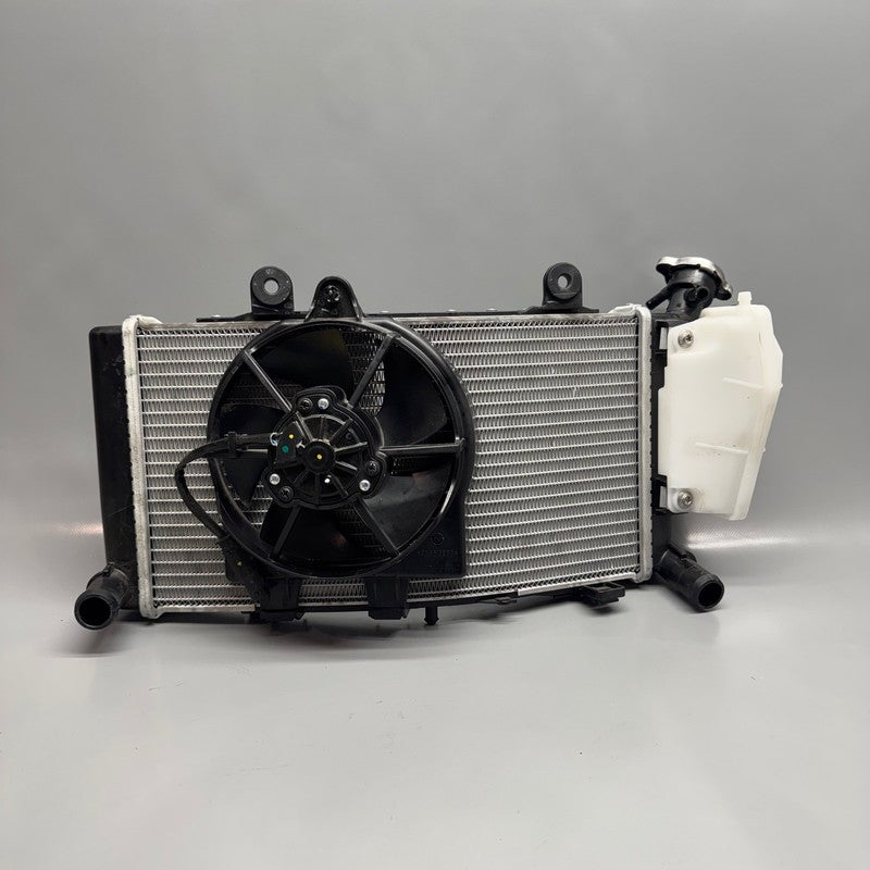 BMW F850GS RADIATOR 2016 2017 2018 2019 2020 2021 2022 2023 OEM 160019
