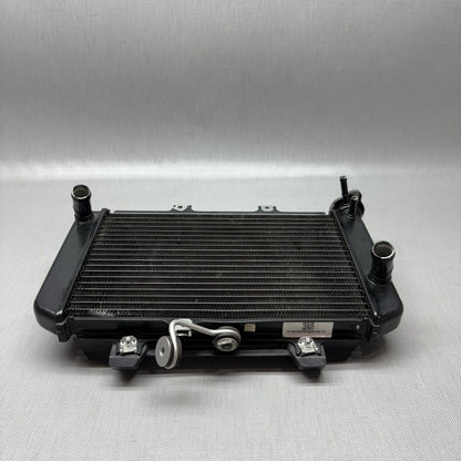 G310R BMW G310R RADIATOR 2017 2018 OEM 