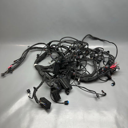 8354784 BMW K1600GTL MAIN ENGINE HARNESS 2015 2016 2017 2018 2019 2020 2021 OEM 8354784