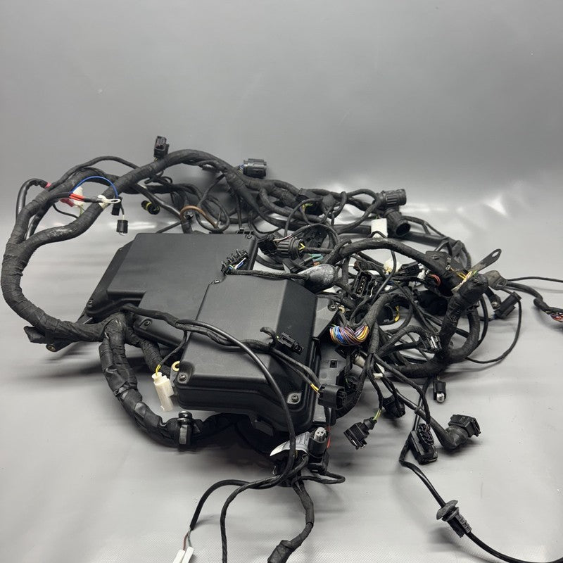 K 1200LT BMW K 1200LT MAIN HARNESS 2005 2006 2007 2008 OEM
