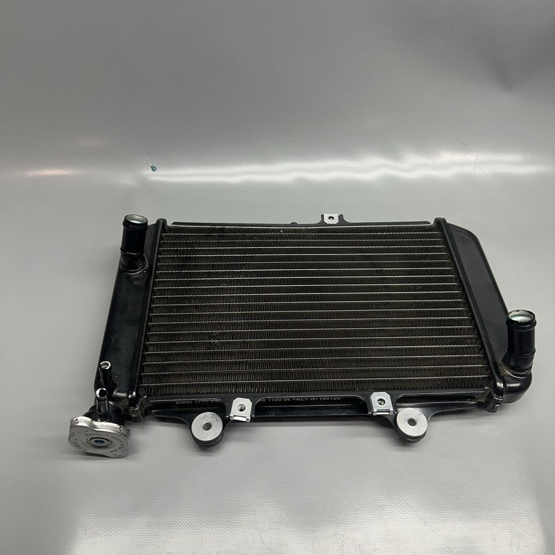 G310GS BMW G310GS RADIATOR 2018 2019 OEM