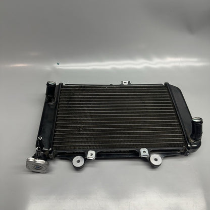 G310GS BMW G310GS RADIATOR 2018 2019 OEM