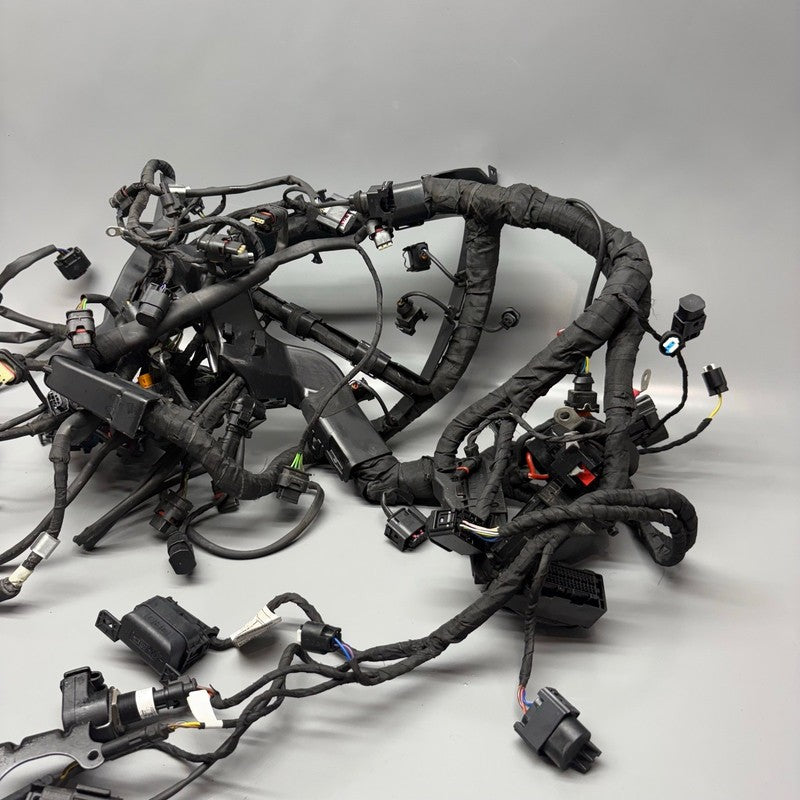 BMW S1000R MAIN ENGINE HARNESS 2020 2021 2022 2023 2024 2025 OEM