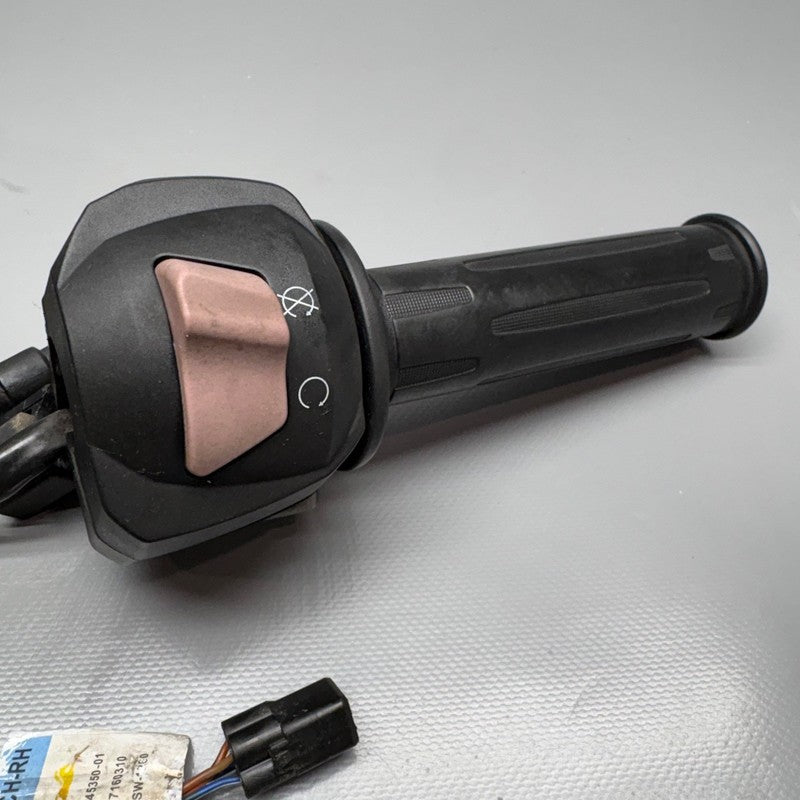 BMW G310GS RIGHT HANDLE GRIP WITH SWITCH 2016 2017 2018 2019 2020 OEM 