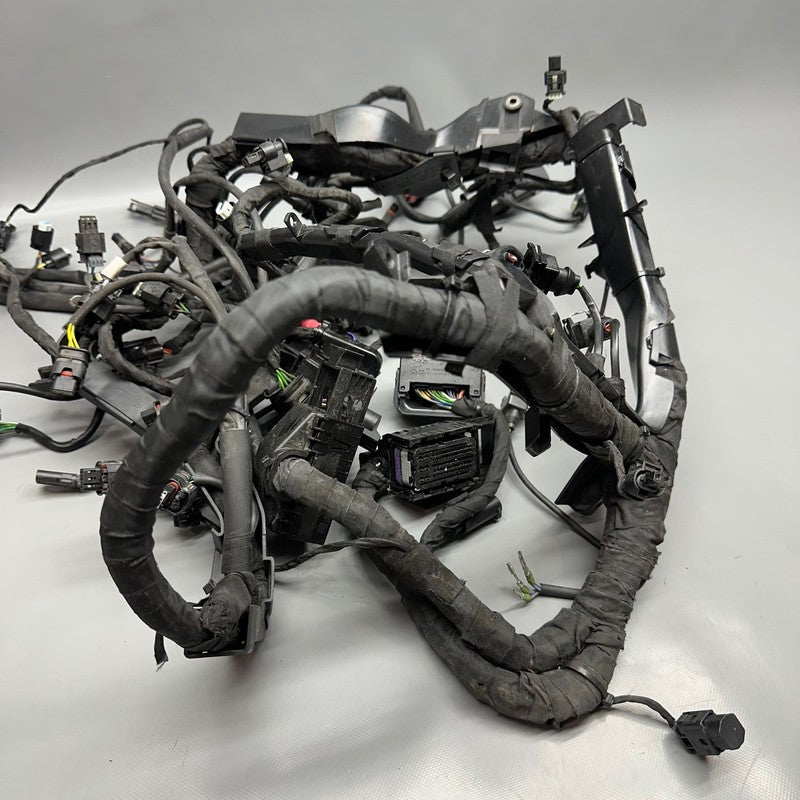 7105049 BMW S1000RR MAIN HARNESS WIRING LOOM 2018 2019 2020 2021 2022 OEM 7105049