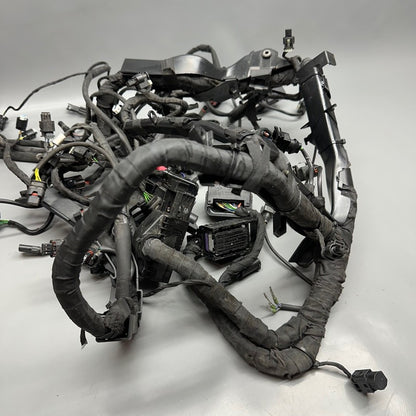 7105049 BMW S1000RR MAIN HARNESS WIRING LOOM 2018 2019 2020 2021 2022 OEM 7105049