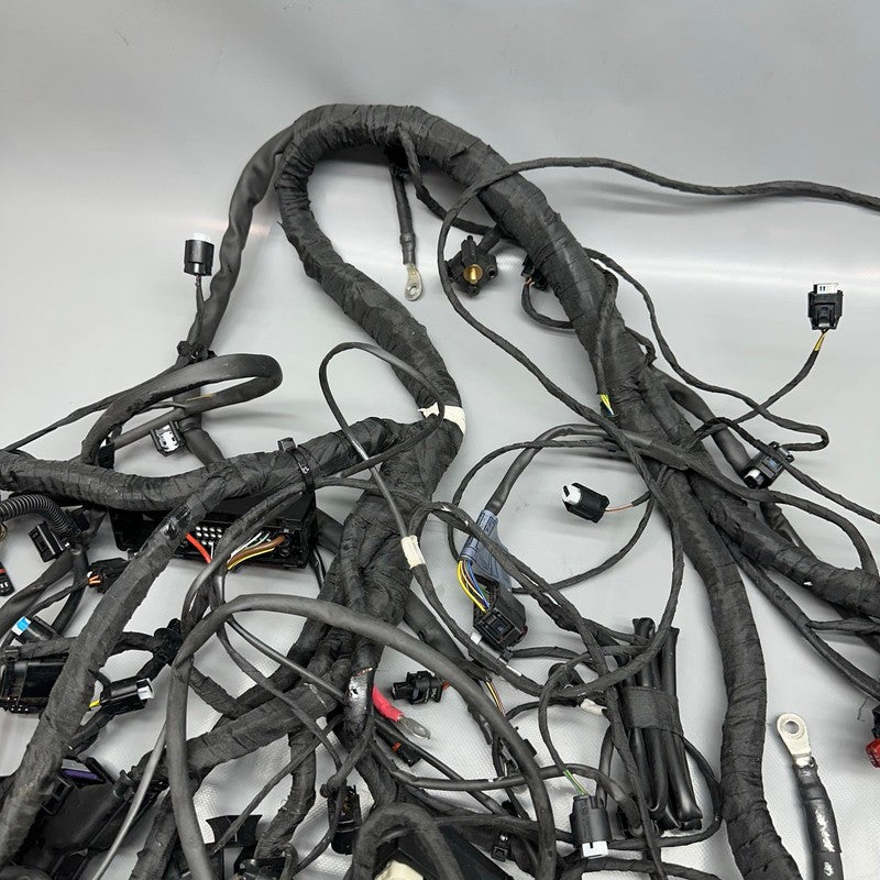 8354784 BMW K1600GTL MAIN ENGINE HARNESS 2015 2016 2017 2018 2019 2020 2021 OEM 8354784