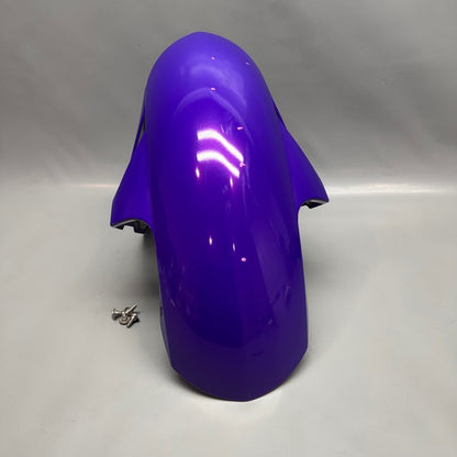 BMW S1000RR K67 FRONT FENDER 2020 2021 2022 2023 2024 OEM 8569801