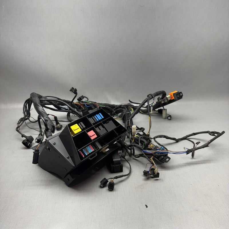 R1150RS BMW R1150RS MAIN ENGINE HARNESS 2002 2003 2004 2005 2006 OEM