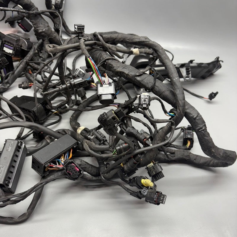 7108707 BMW R18 TRANSCONTINENTAL MAIN ENGINE HARNESS 2020 2021 2022 2023 2024 OEM