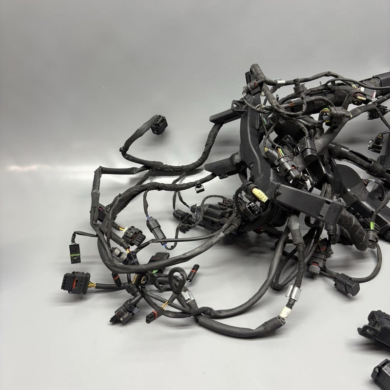 S1000R BMW S1000R MAIN ENGINE HARNESS 2020 2021 2022 2023 2024 2025 OEM 