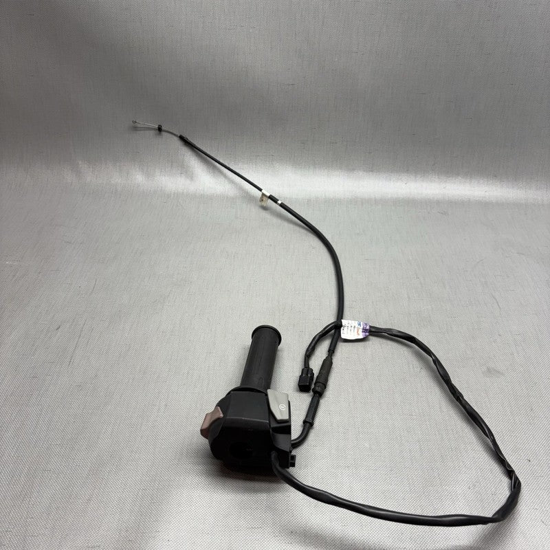 G 310R BMW G 310R HANDLE GRIP WITH SWITCH RIGHT 2016 2017 2018 2019 2020 OEM