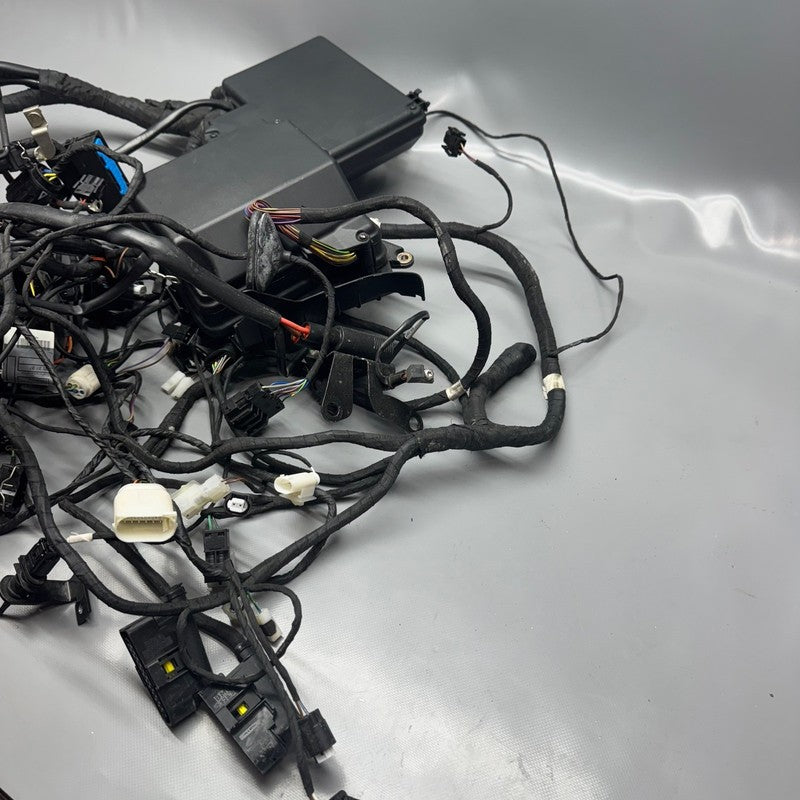 BMW K 1200LT MAIN HARNESS 2005 2006 2007 2008 OEM