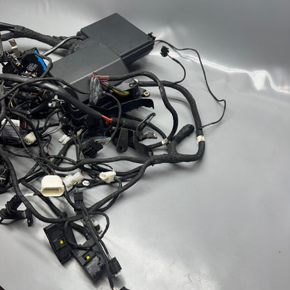 BMW K 1200LT MAIN HARNESS 2005 2006 2007 2008 OEM