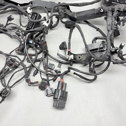 9480782 BMW R1250 GS MAIN WIRING HARNESS 2018 2019 2020 OEM 9480782