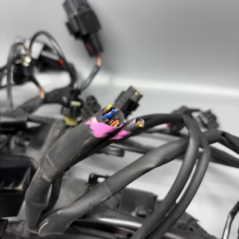 7108539 BMW S1000RR MAIN ENGINE WIRING 2019 2020 2021 2022 2023 2024 OEM 7108539 CUT