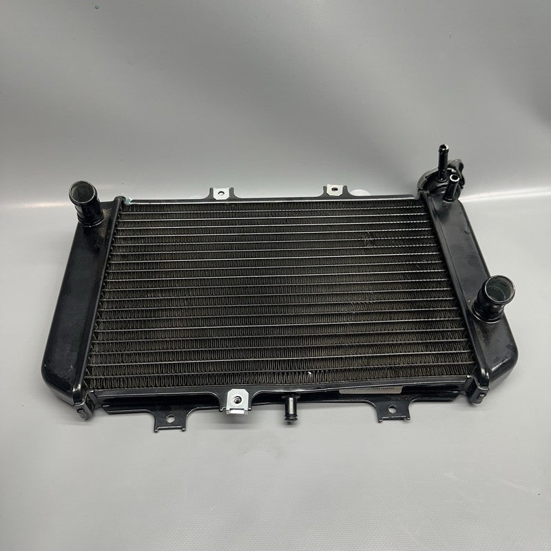 G310GS BMW G310GS RADIATOR 2018 2019 OEM