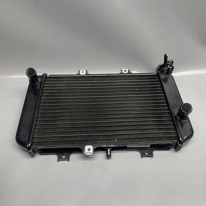 G310GS BMW G310GS RADIATOR 2018 2019 OEM