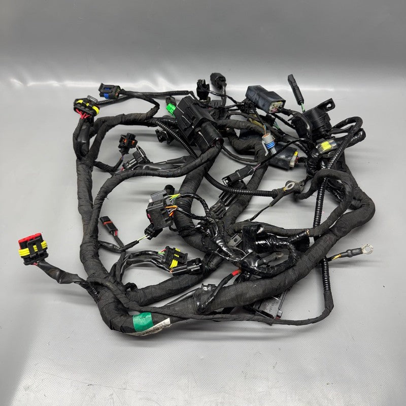 G310 R BMW G310 R MAIN ENGINE HARNESS 2016 2017 2018 2019 2020 OEM