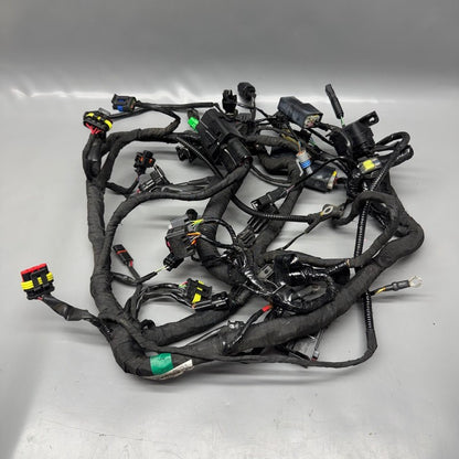 G310 R BMW G310 R MAIN ENGINE HARNESS 2016 2017 2018 2019 2020 OEM