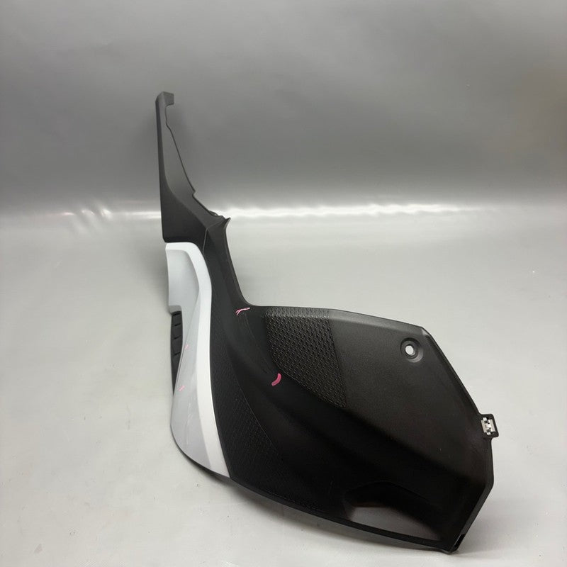 BMW S1000R TANK TRIM RIGHT 2020 2021 2022 2023 2024 2025 OEM 8569772