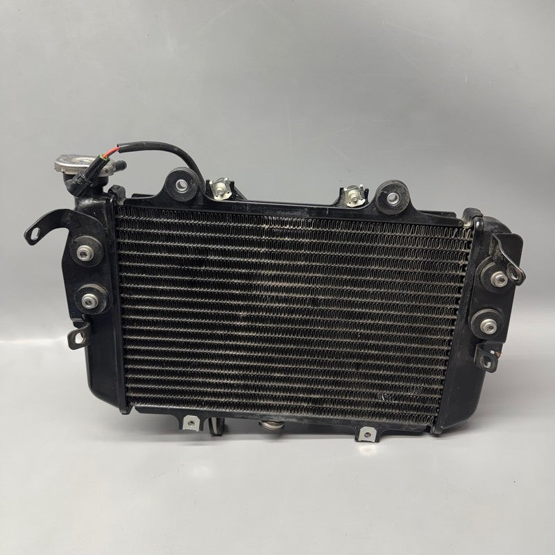 8558350 BMW G310 R RADIATOR 2016 2017 2018 2019 2020 OEM 8558350