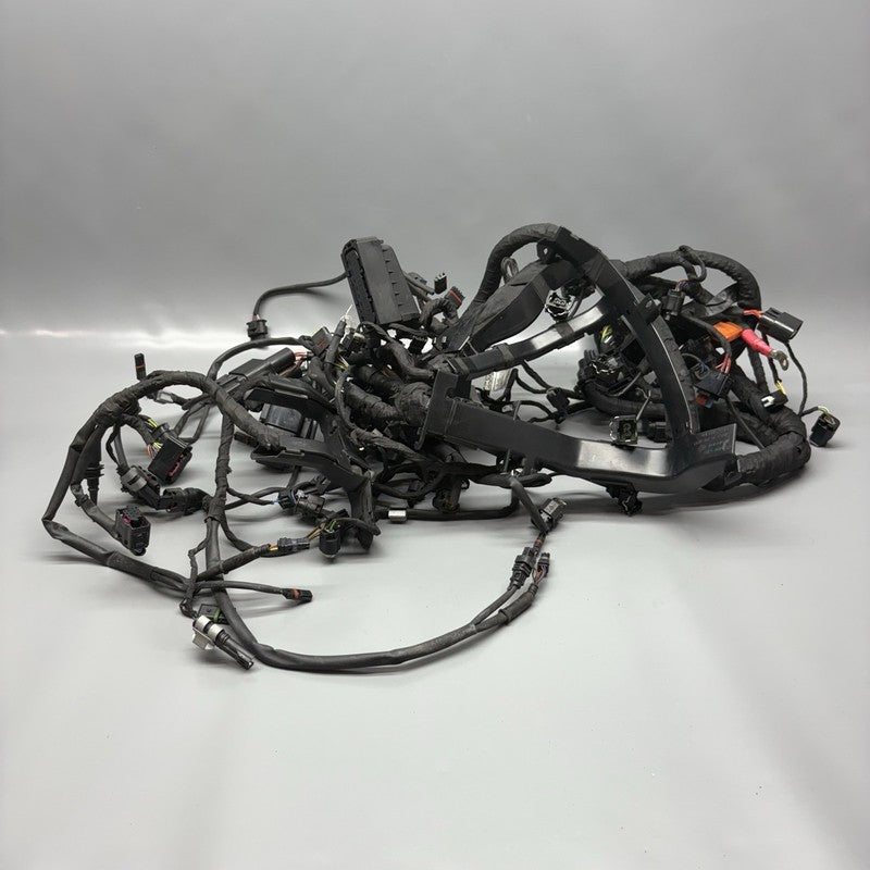 S1000R BMW S1000R MAIN ENGINE HARNESS 2020 2021 2022 2023 2024 2025 OEM 