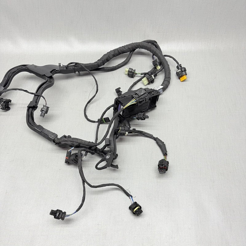 BMW R1250GS ENGINE WIRING HARNESS 2017 2018 2019 2020 2021 2022 2023 O