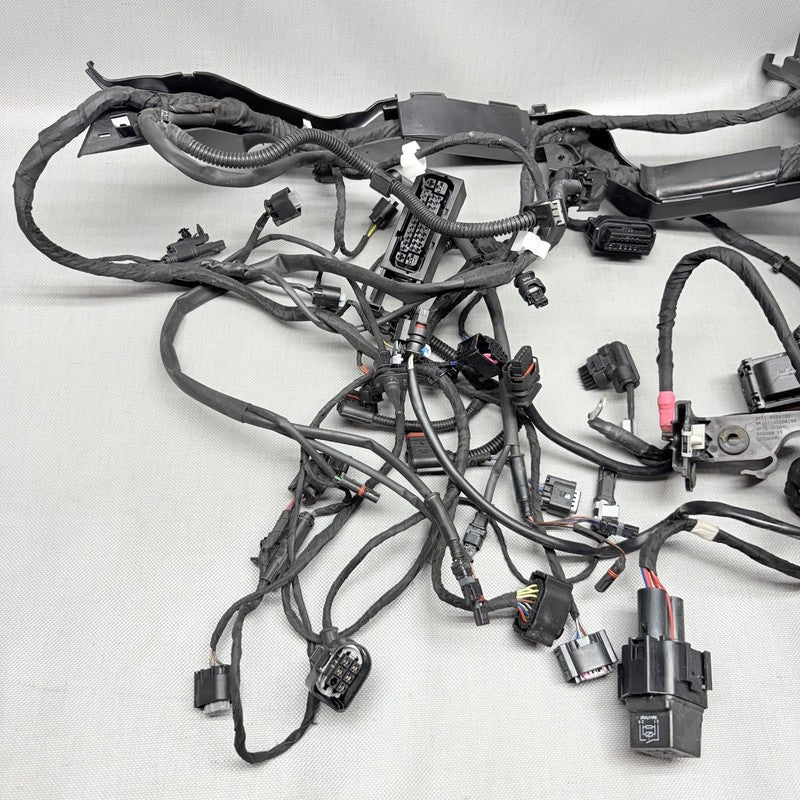 BMW R1250GS MAIN WIRING HARNESS 2018 2019 2020 2021 2022 2023 OEM 9480