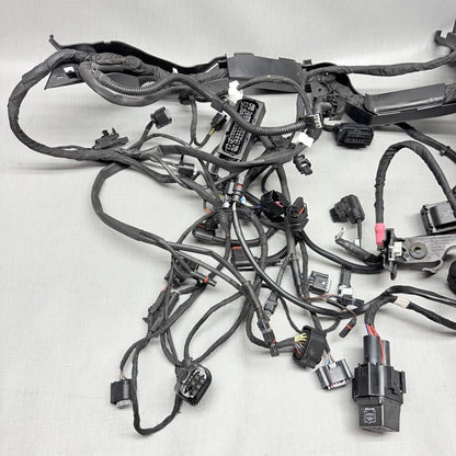 BMW R1250GS MAIN WIRING HARNESS 2018 2019 2020 2021 2022 2023 OEM 9480