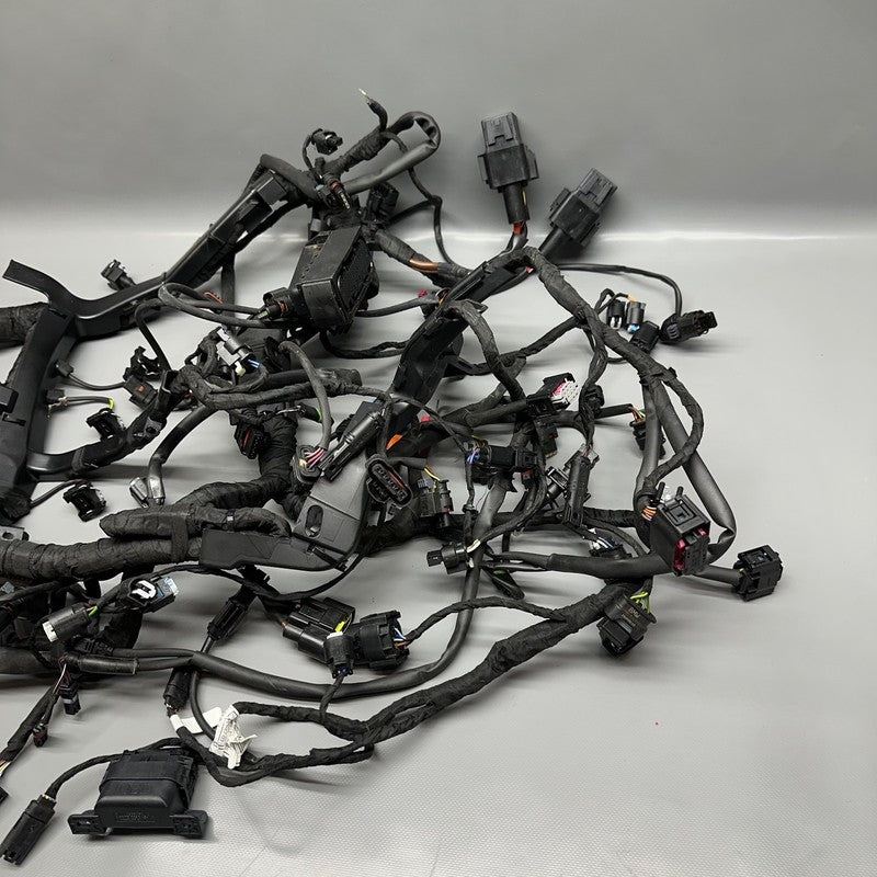 S1000R BMW S1000R MAIN ENGINE HARNESS 2020 2021 2022 2023 2024 2025 OEM